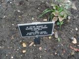 image of grave number 101720